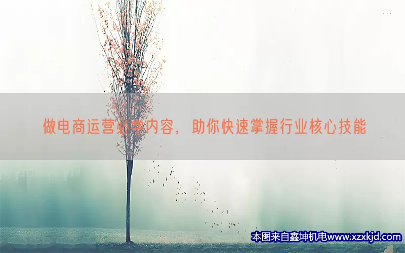 做电商运营必学内容，助你快速掌握行业核心技能(pic1)