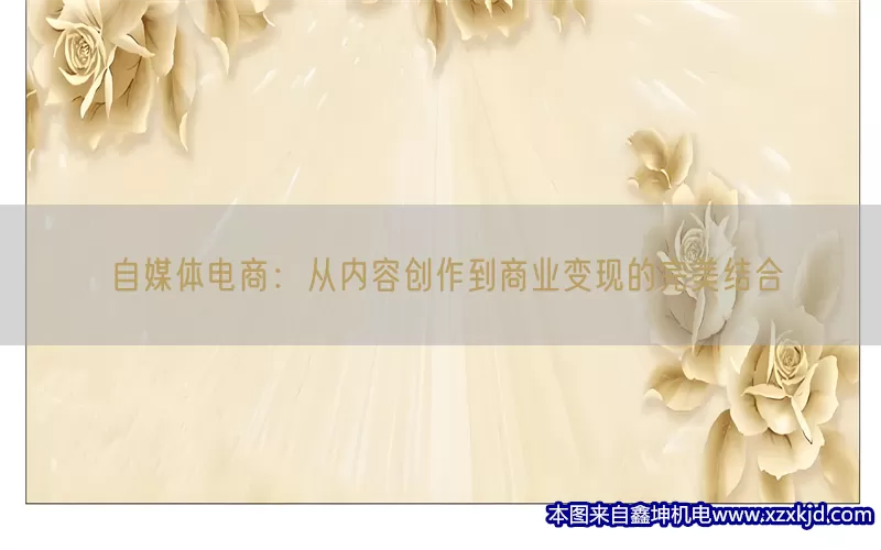 自媒体电商：从内容创作到商业变现的完美结合(pic1)