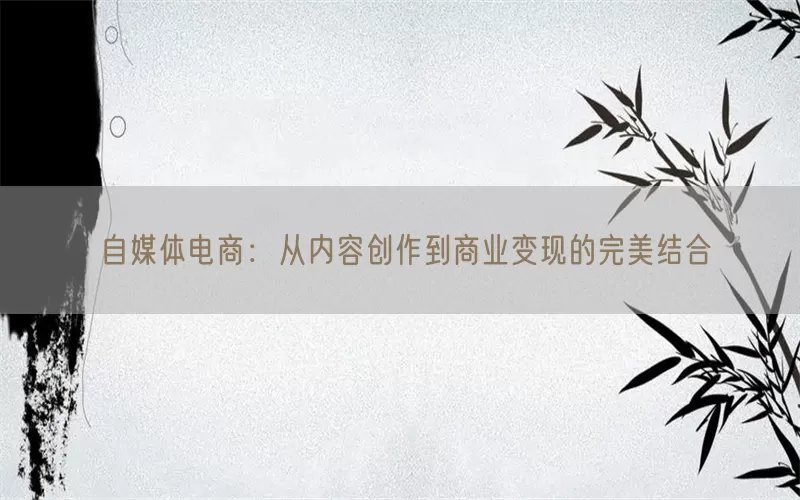 自媒体电商：从内容创作到商业变现的完美结合