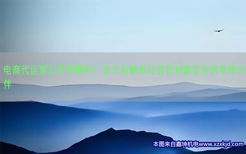 电商代运营公司有哪些？全方位解析让您找到最适合的电商伙伴(pic1)