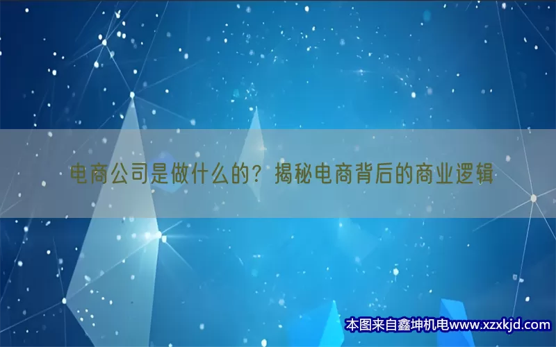电商公司是做什么的？揭秘电商背后的商业逻辑(pic1)