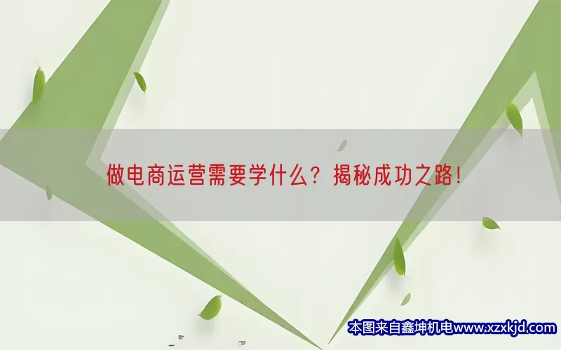 做电商运营需要学什么？揭秘成功之路！(pic1)