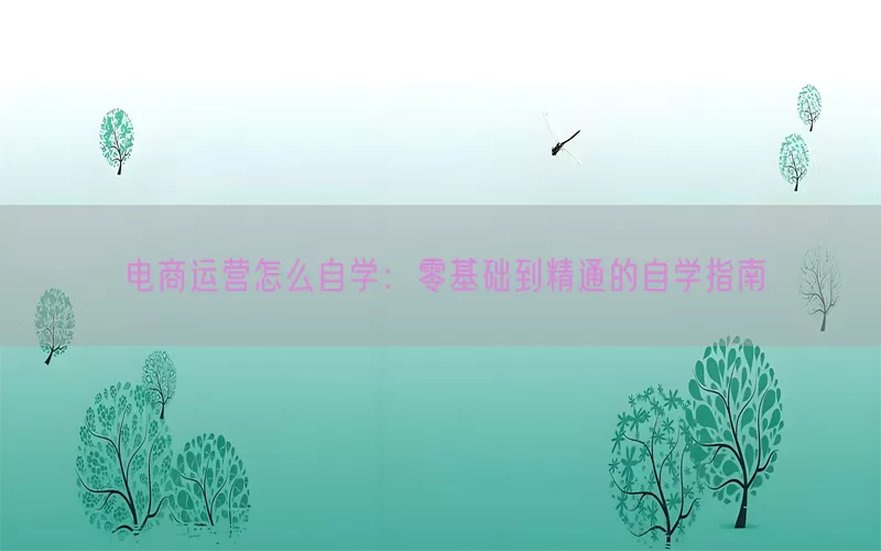 电商运营怎么自学：零基础到精通的自学指南