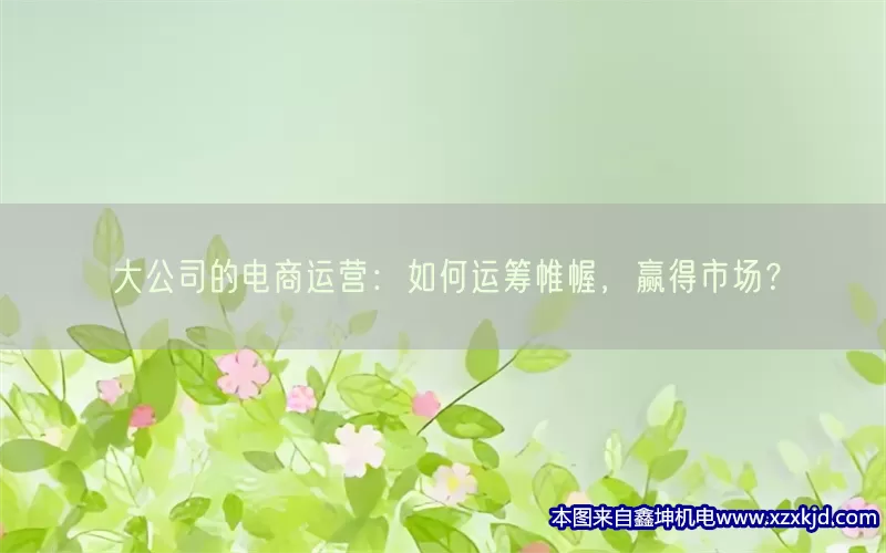 大公司的电商运营：如何运筹帷幄，赢得市场？(pic1)