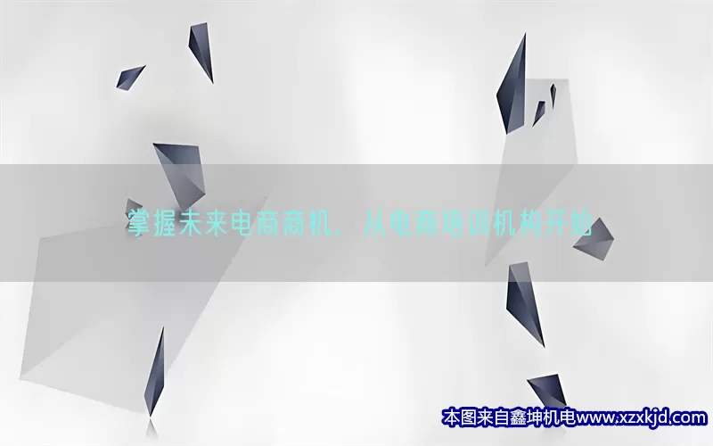 掌握未来电商商机，从电商培训机构开始(pic1)