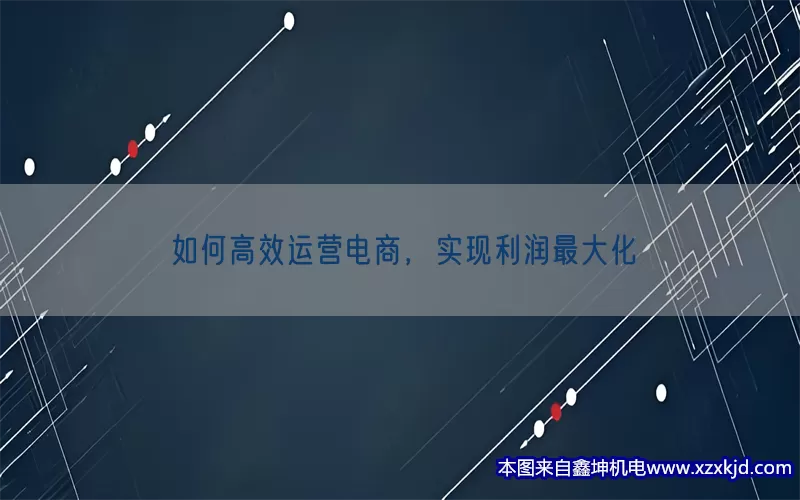 如何高效运营电商，实现利润最大化(pic1)