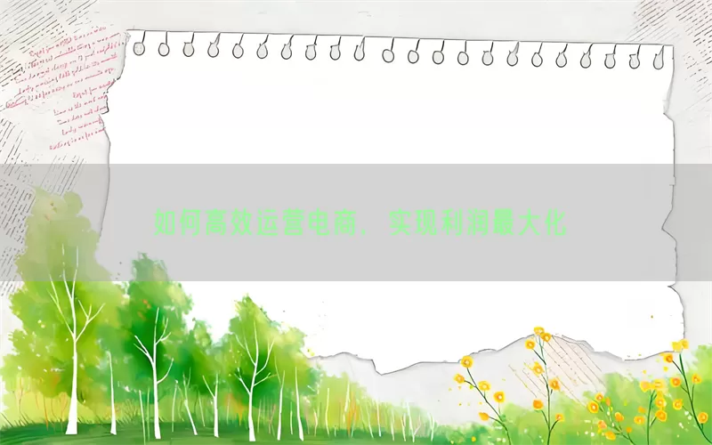 如何高效运营电商，实现利润最大化