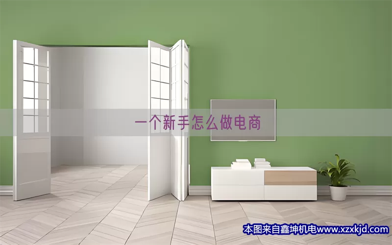 一个新手怎么做电商(pic1)