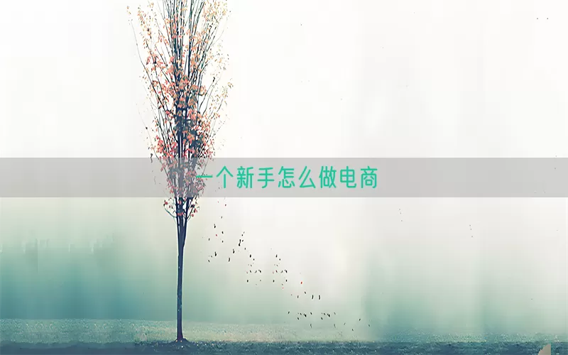 一个新手怎么做电商