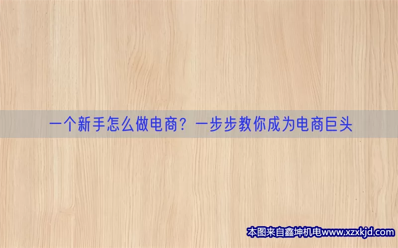 一个新手怎么做电商？一步步教你成为电商巨头(pic1)