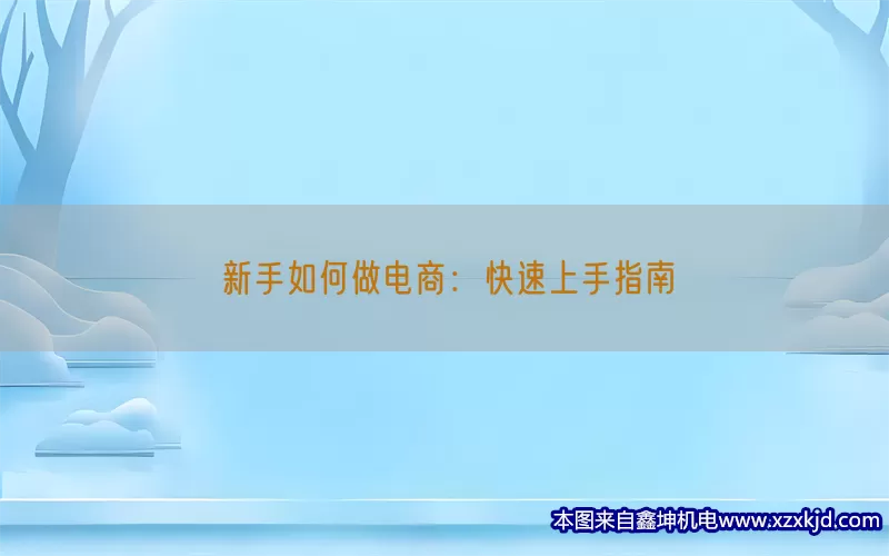 新手如何做电商：快速上手指南(pic1)