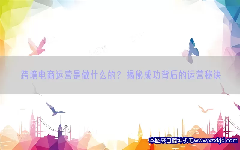 跨境电商运营是做什么的？揭秘成功背后的运营秘诀(pic1)