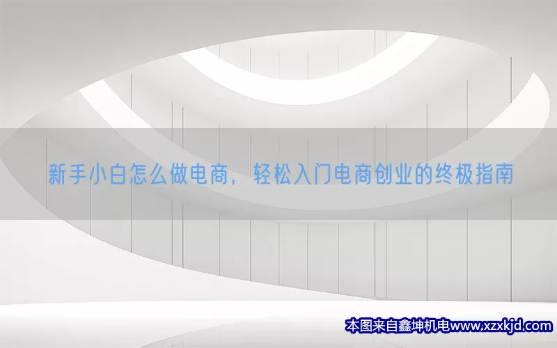 新手小白怎么做电商，轻松入门电商创业的终极指南(pic1)