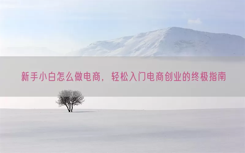 新手小白怎么做电商，轻松入门电商创业的终极指南