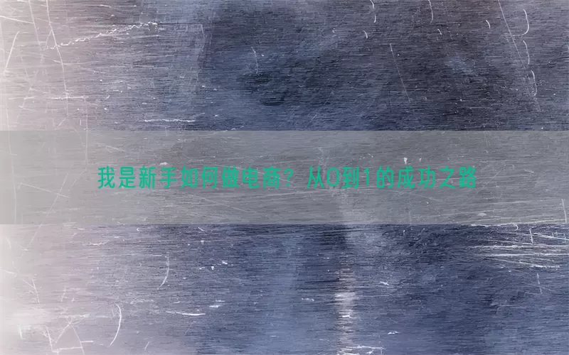 我是新手如何做电商？从0到1的成功之路