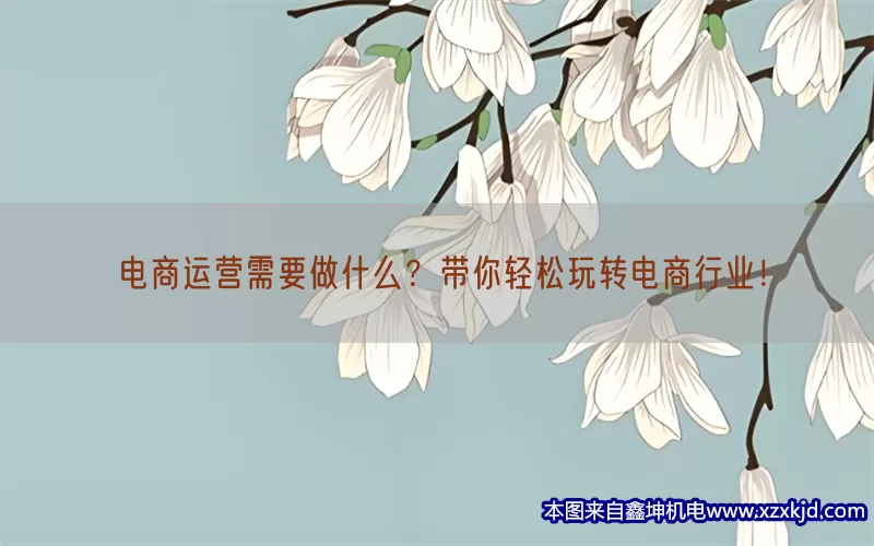 电商运营需要做什么？带你轻松玩转电商行业！(pic1)