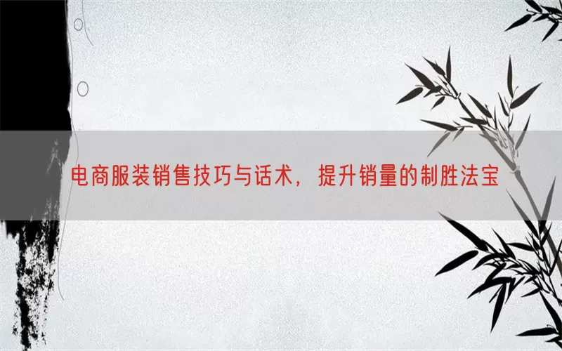 电商服装销售技巧与话术，提升销量的制胜法宝