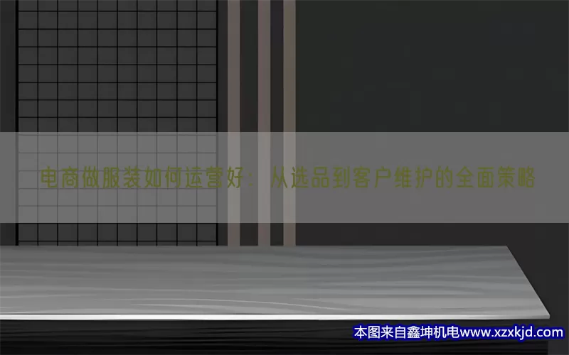 电商做服装如何运营好：从选品到客户维护的全面策略(pic1)