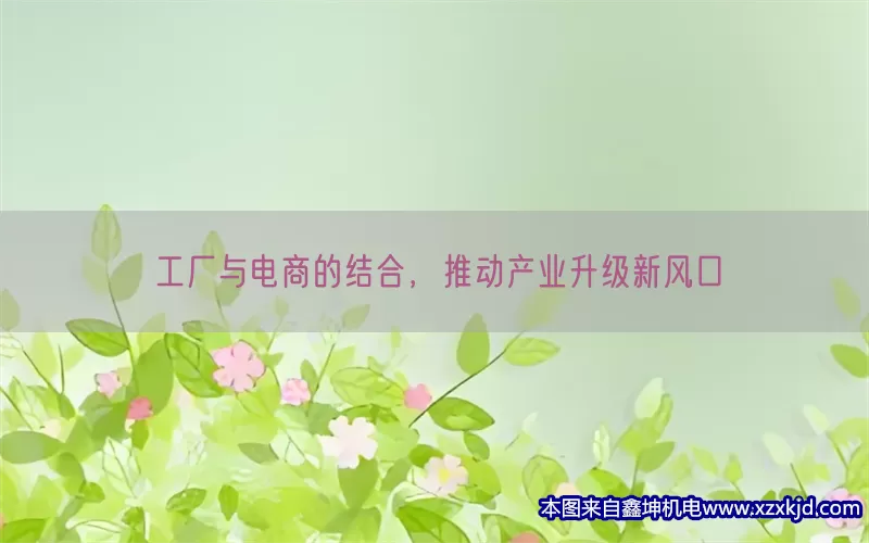 工厂与电商的结合，推动产业升级新风口(pic1)