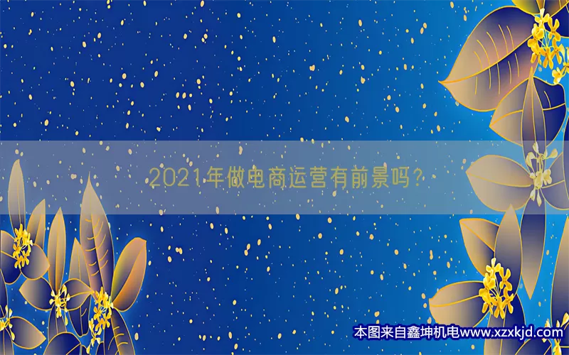 2021年做电商运营有前景吗？(pic1)