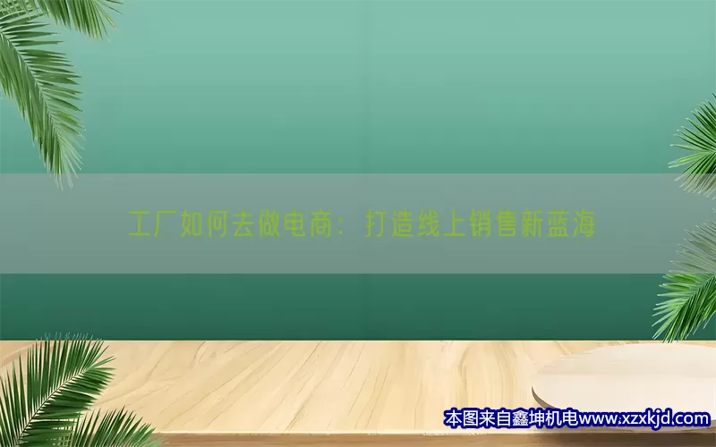 工厂如何去做电商：打造线上销售新蓝海(pic1)