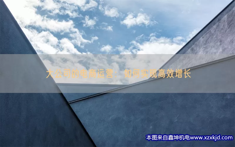 大公司的电商运营：如何实现高效增长(pic1)
