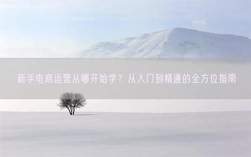 新手电商运营从哪开始学？从入门到精通的全方位指南