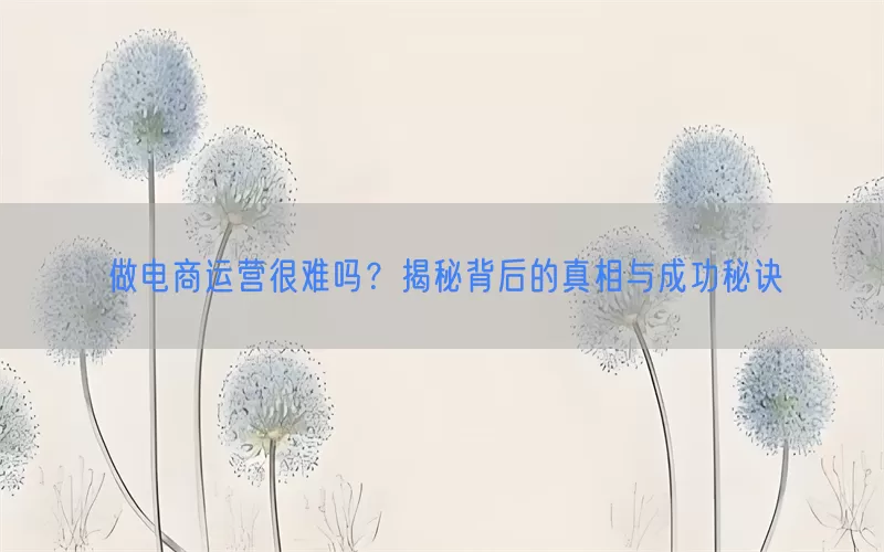 做电商运营很难吗？揭秘背后的真相与成功秘诀
