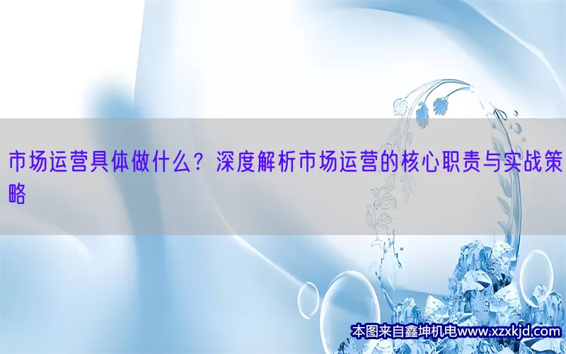 市场运营具体做什么？深度解析市场运营的核心职责与实战策略(pic1)