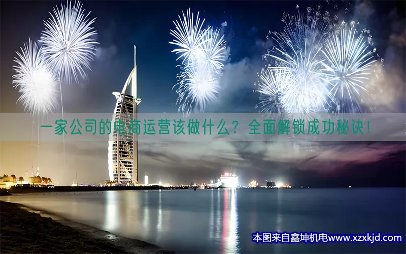 一家公司的电商运营该做什么？全面解锁成功秘诀！(pic1)