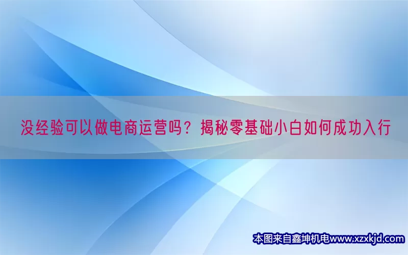 没经验可以做电商运营吗？揭秘零基础小白如何成功入行(pic1)