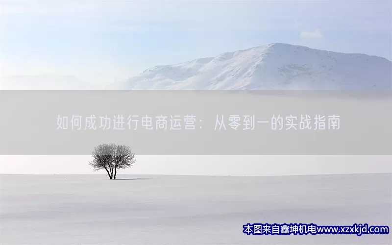 如何成功进行电商运营：从零到一的实战指南(pic1)