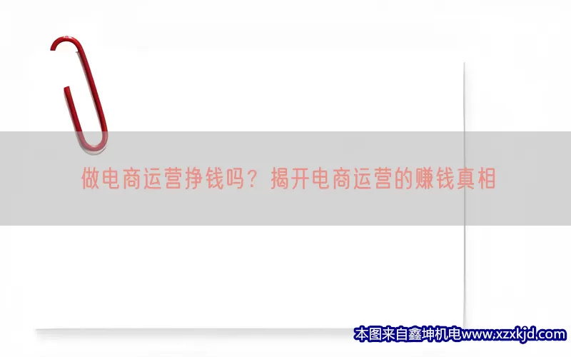 做电商运营挣钱吗？揭开电商运营的赚钱真相(pic1)