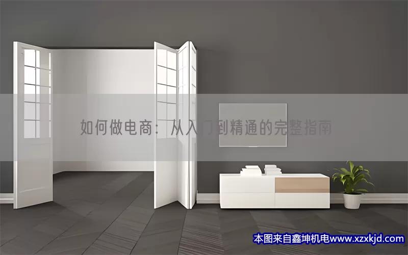 如何做电商：从入门到精通的完整指南(pic1)