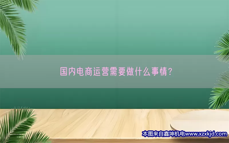 国内电商运营需要做什么事情？(pic1)