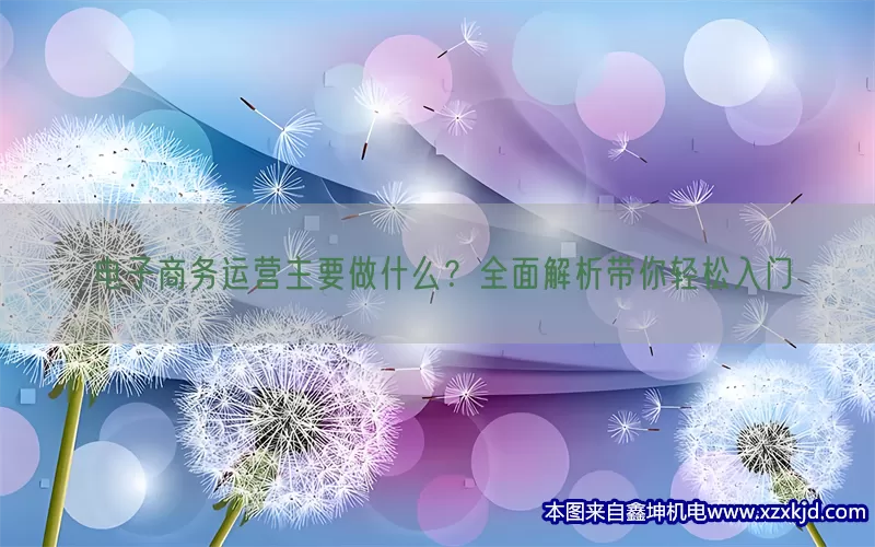 电子商务运营主要做什么？全面解析带你轻松入门(pic1)