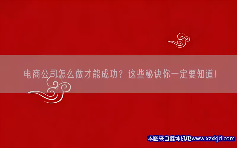 电商公司怎么做才能成功？这些秘诀你一定要知道！(pic1)