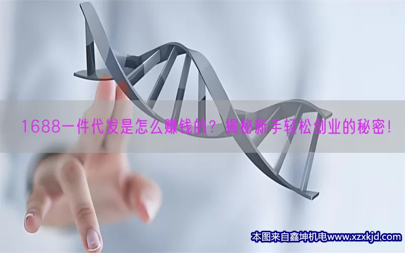 1688一件代发是怎么赚钱的？揭秘新手轻松创业的秘密！(pic1)