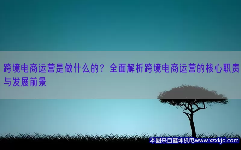 跨境电商运营是做什么的？全面解析跨境电商运营的核心职责与发展前景(pic1)