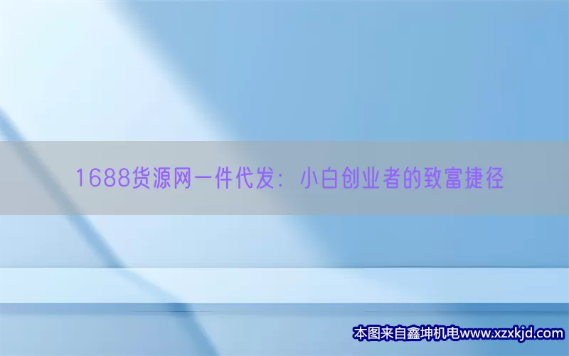 1688货源网一件代发：小白创业者的致富捷径(pic1)