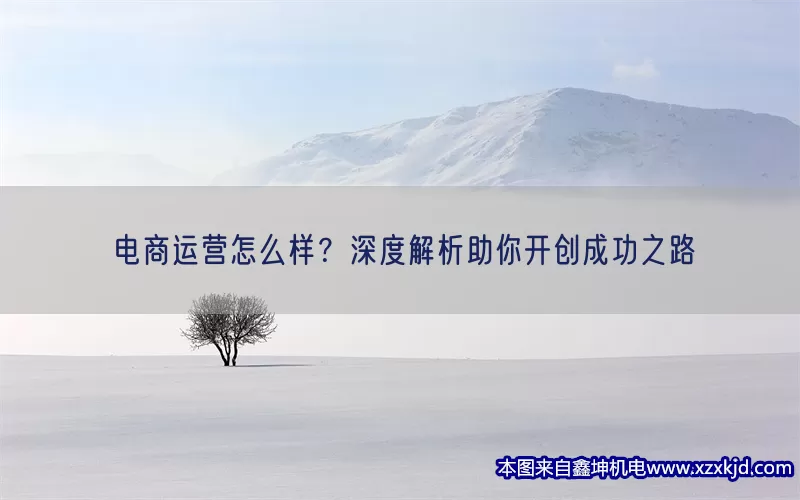电商运营怎么样？深度解析助你开创成功之路(pic1)
