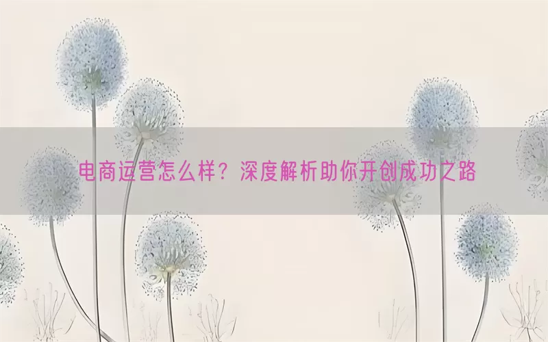 电商运营怎么样？深度解析助你开创成功之路