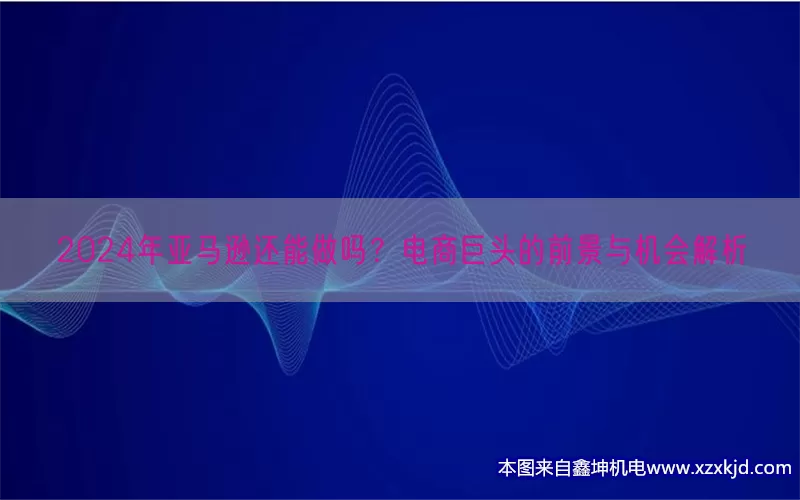 2024年亚马逊还能做吗？电商巨头的前景与机会解析(pic1)