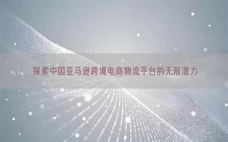 探索中国亚马逊跨境电商物流平台的无限潜力