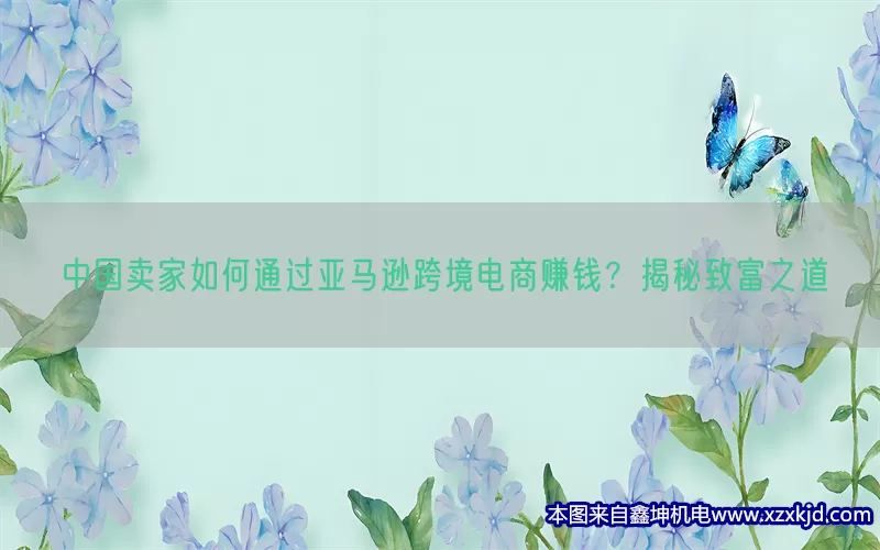 中国卖家如何通过亚马逊跨境电商赚钱？揭秘致富之道(pic1)