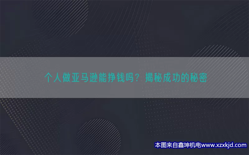 个人做亚马逊能挣钱吗？揭秘成功的秘密(pic1)