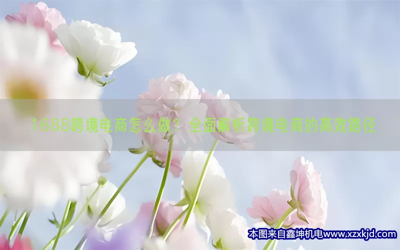 1688跨境电商怎么做？全面解析跨境电商的高效路径(pic1)