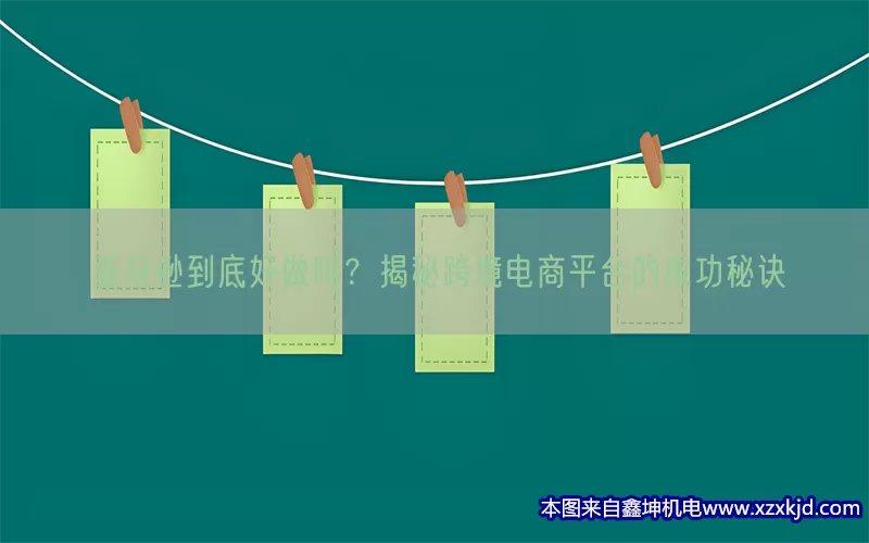 亚马逊到底好做吗？揭秘跨境电商平台的成功秘诀(pic1)