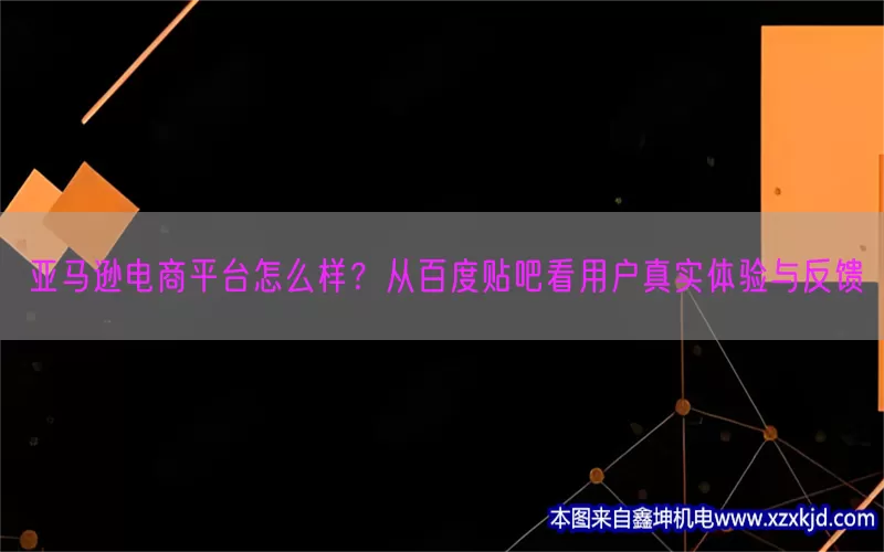 亚马逊电商平台怎么样？从百度贴吧看用户真实体验与反馈(pic1)