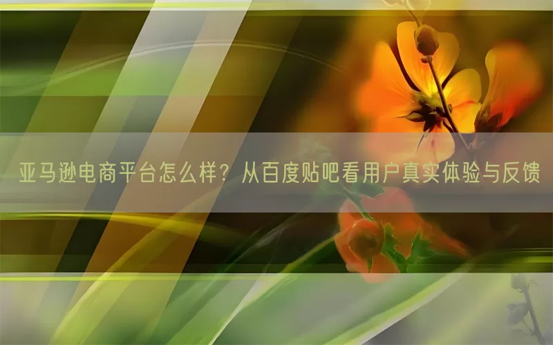 亚马逊电商平台怎么样？从百度贴吧看用户真实体验与反馈